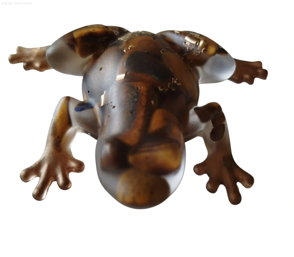  Orgonitová žába „Strážkyně odvahy a vnitřní síly“ – s tygřím okem