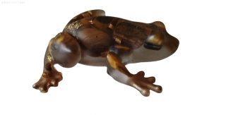  Orgonitová žába „Strážkyně odvahy a vnitřní síly“ – s tygřím okem