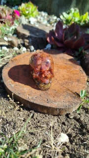  Orgonitová lebka se zlatým avanturínem – odvaha, štěstí a síla životní energie